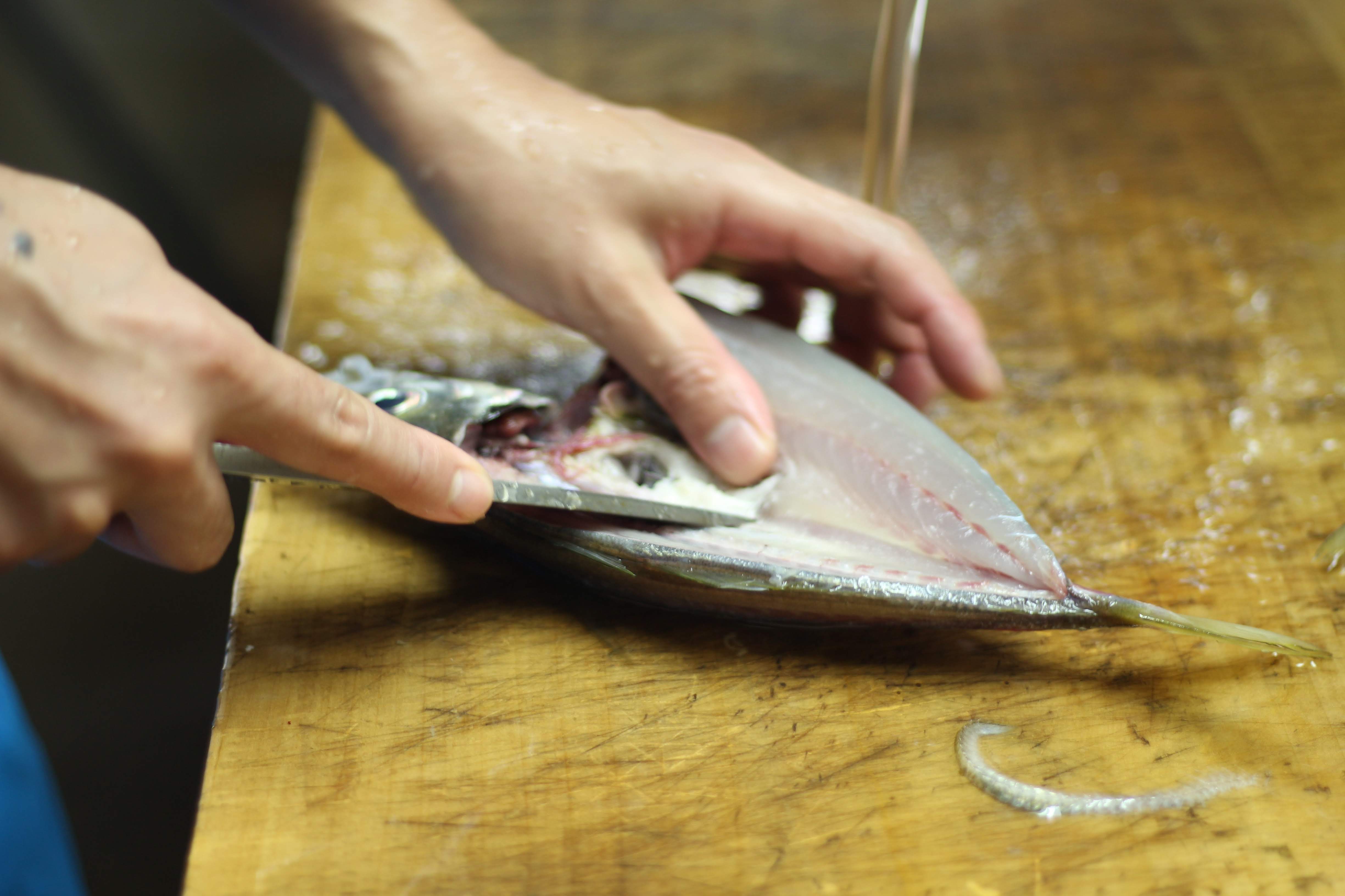 創業５０年の魚屋が厳選した「季節の一夜干しセット」（６～７種）
